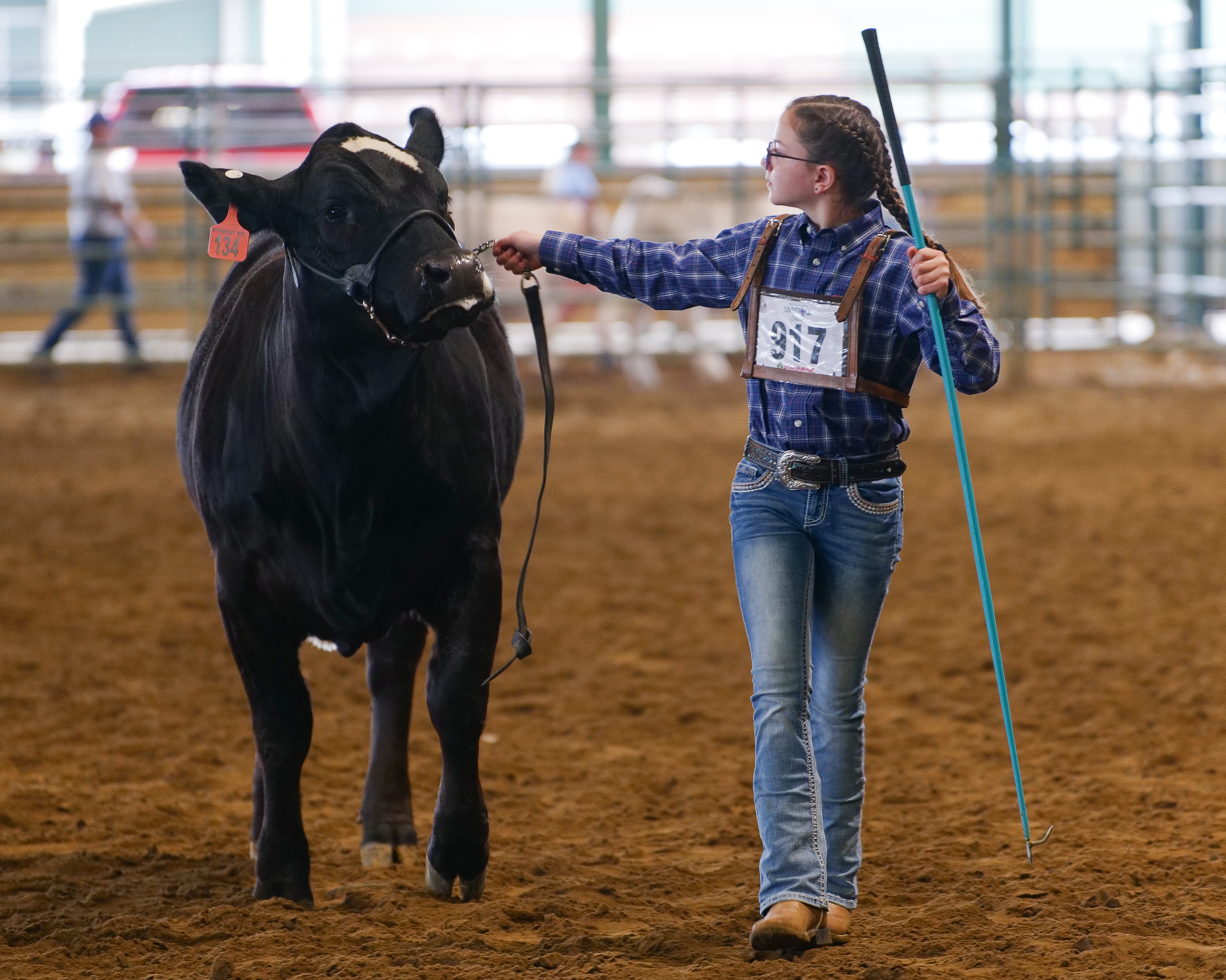 LSU AgCenter Livestock Show set for Feb. 11-18 in Gonzales 